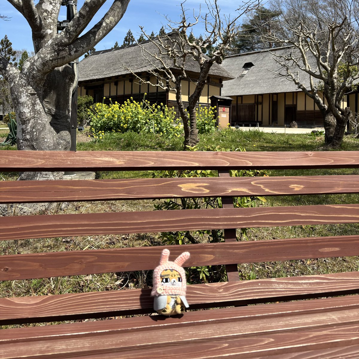 シモネー（暴れ垢） tweet media