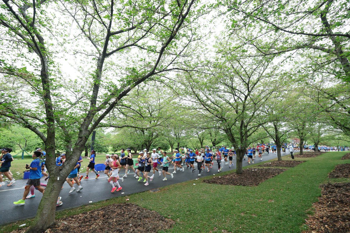 VisitSongjiang's tweet image. The 2026 Shanghai Sheshan Half #Marathon kicked off Sunday morning at Shanghai Happy Valley, as 10,000 #runners set off from the foot of "Shanghai’s highest peak" into a #springlandscape drizzled with rain. This year’s upgraded 21.0975 km course takes runners from Shanghai Happy