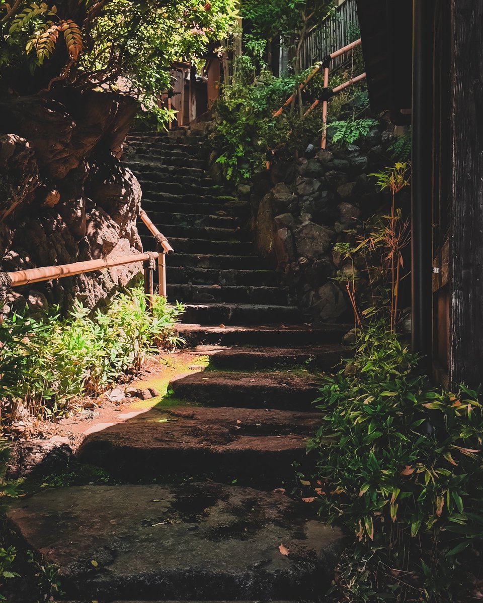 TeaWithMandyxo's tweet photo. Kyoto 🌼🌿 https://t.co/7BJPYdkAf7