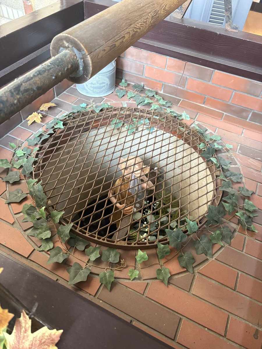 🎀アリス🎀 tweet media