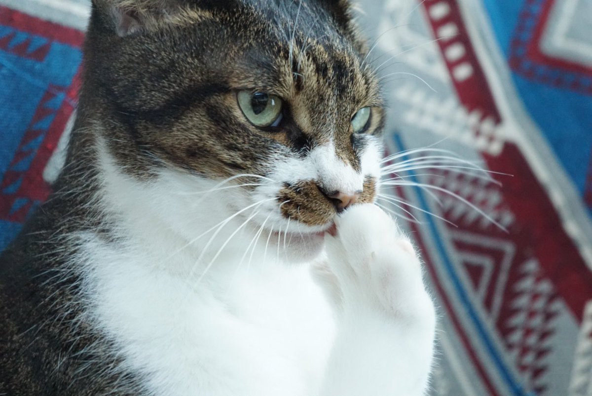 ひろ♪@禁酒中 tweet media