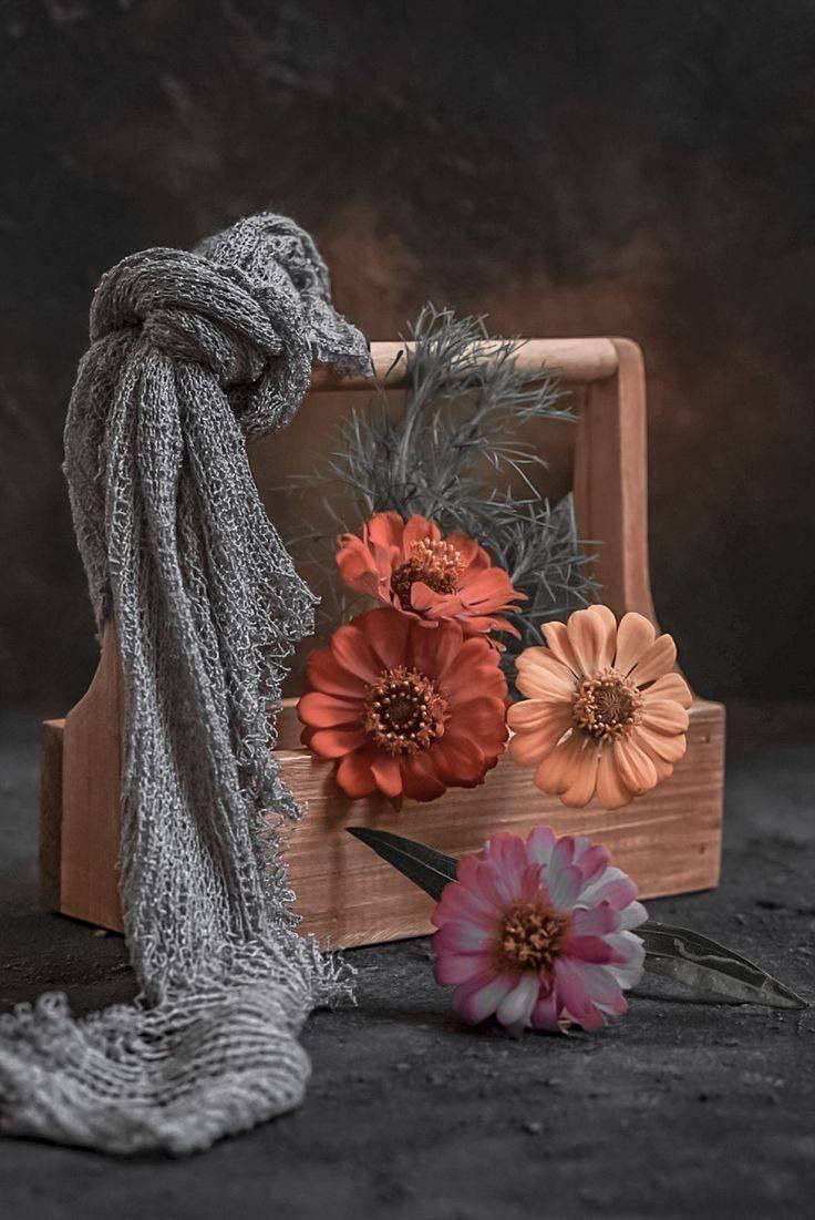 بوح الأدباء ( محمد شاهين الخالدي ) tweet media