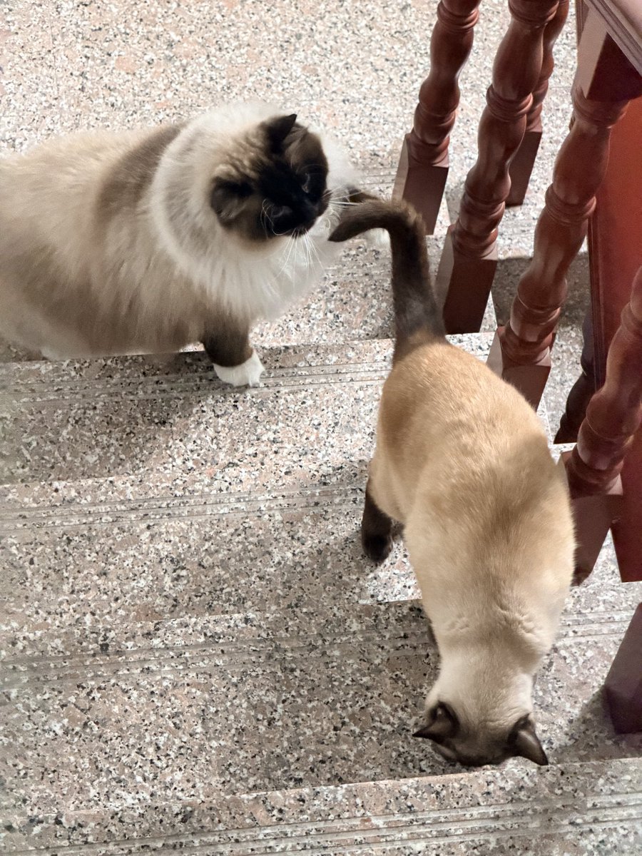 Epiphany tweet media