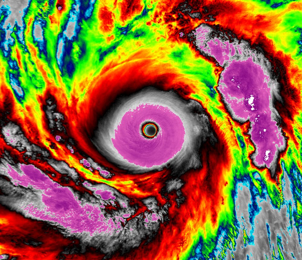 Nick Krasznavolgyi tweet media