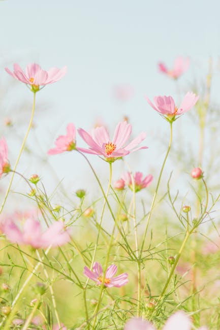 Philip Christian tweet media