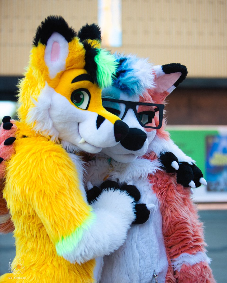 Artemis 🦊 🔜 CFZ tweet media