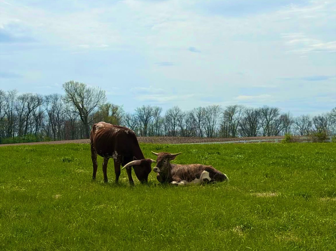 Jenny Schweigert 🇺🇲 tweet media