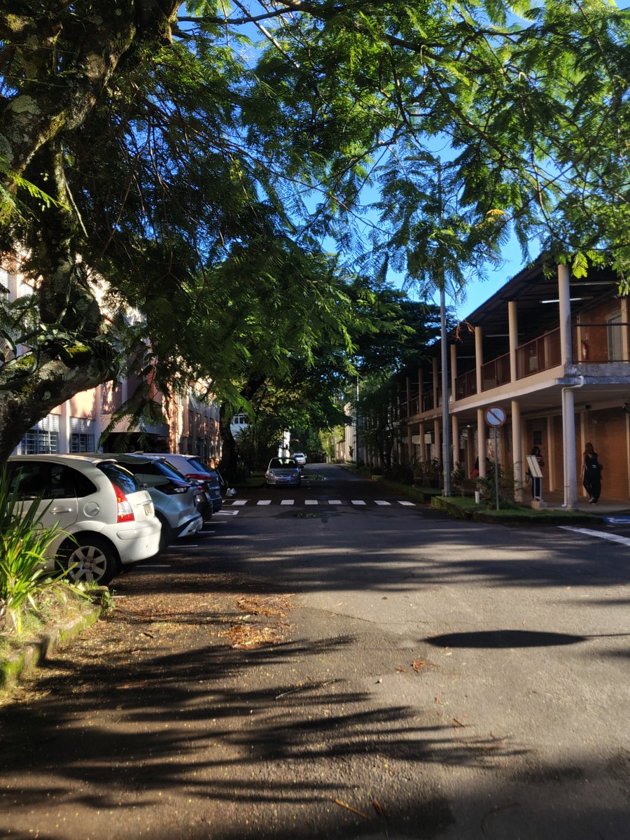 bruna♡ | enf/ufjf #studytwtbr tweet media