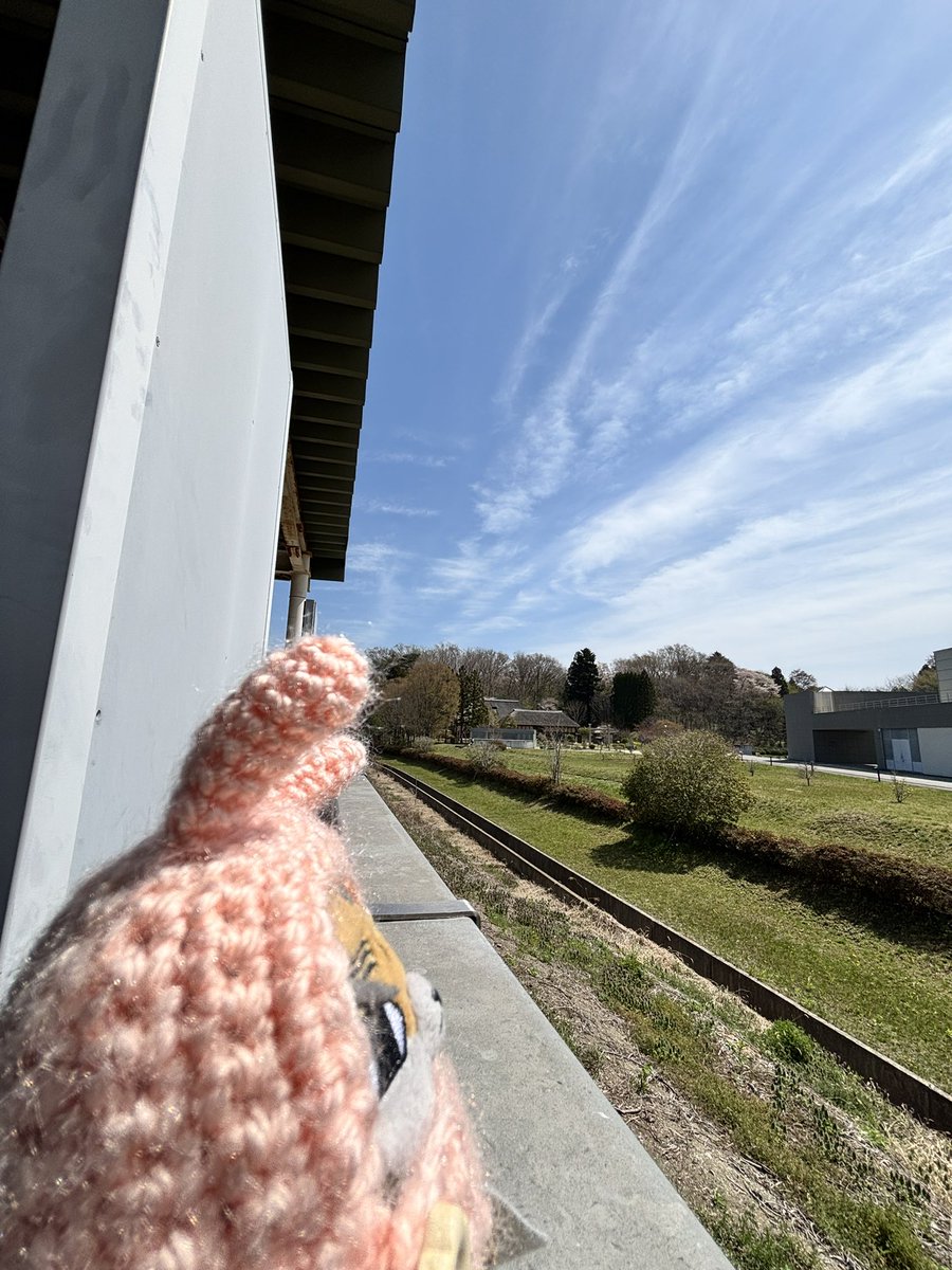 シモネー（暴れ垢） tweet media