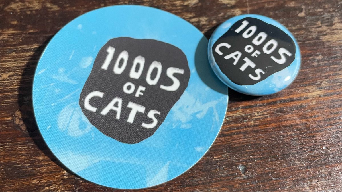 1000s of cats-サウザンズオブキャッツ🍉 tweet media