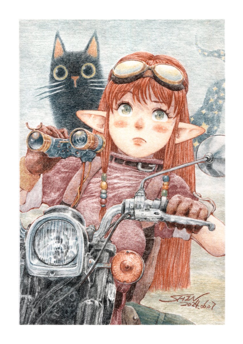 シン🐈⬛🐾 tweet media