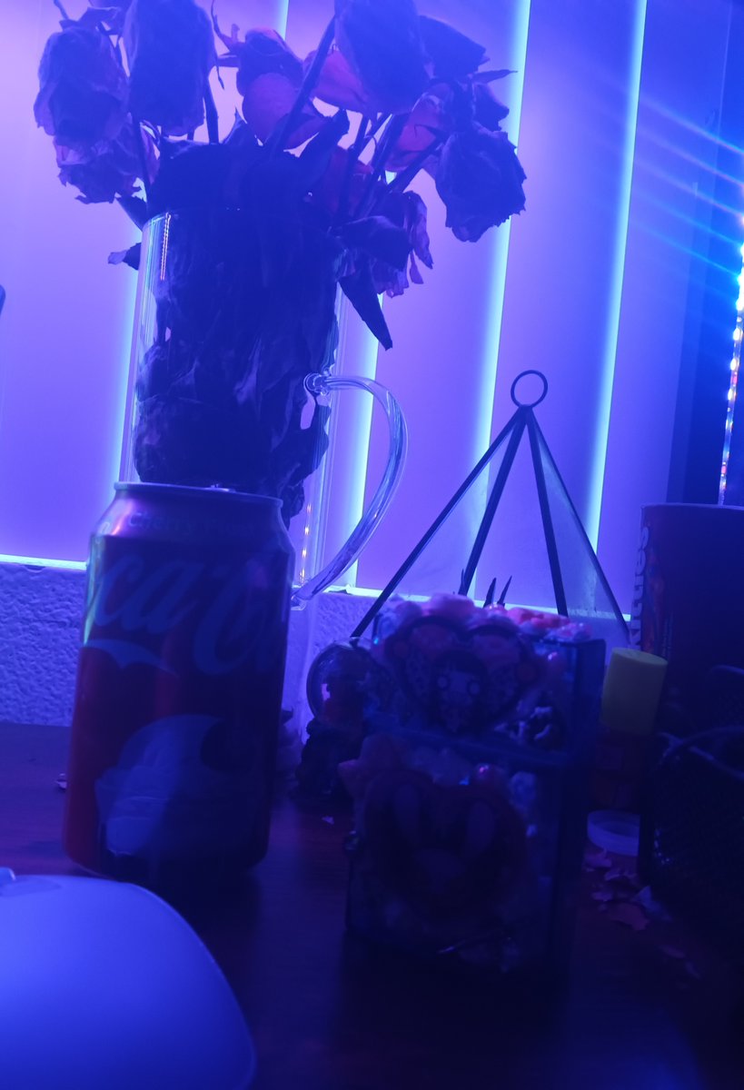 Vellielovebug˚˖𓍢ִ໋˚🪳 tweet media