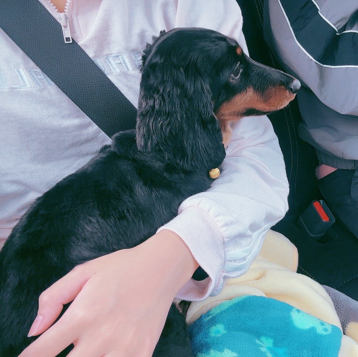 蒼乃 唯 tweet media