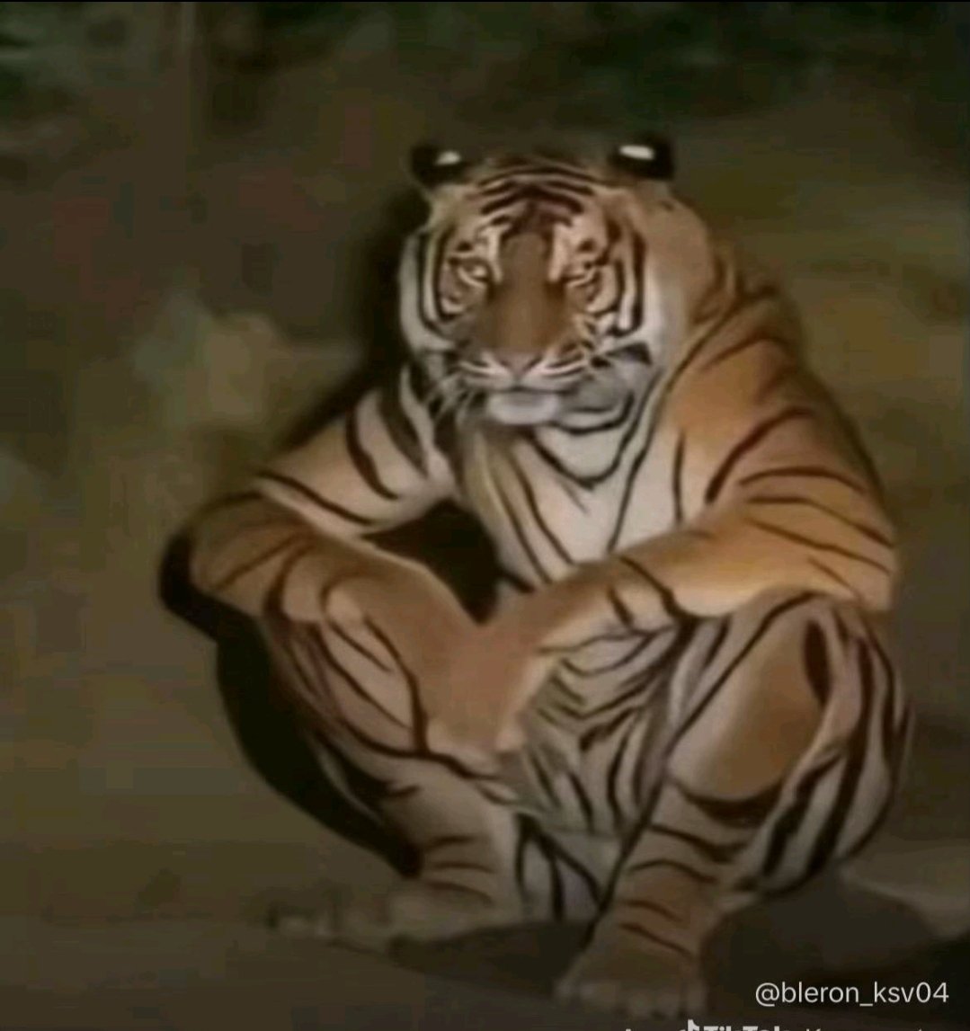 JayFrog 🏴‍☠️☦️ tweet media