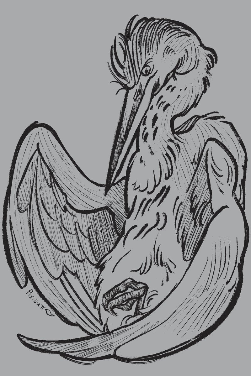 drew a juvenile great blue heron drying its feathers today :)