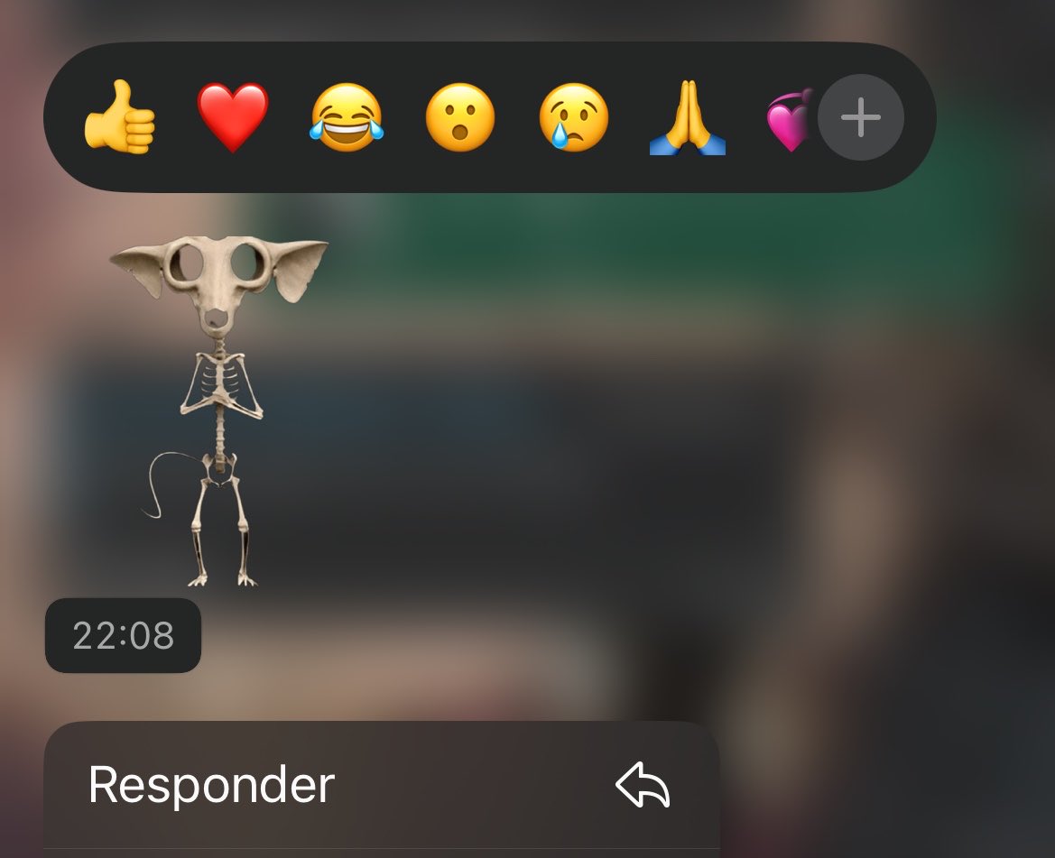 cor de paçoca 🥜 tweet media