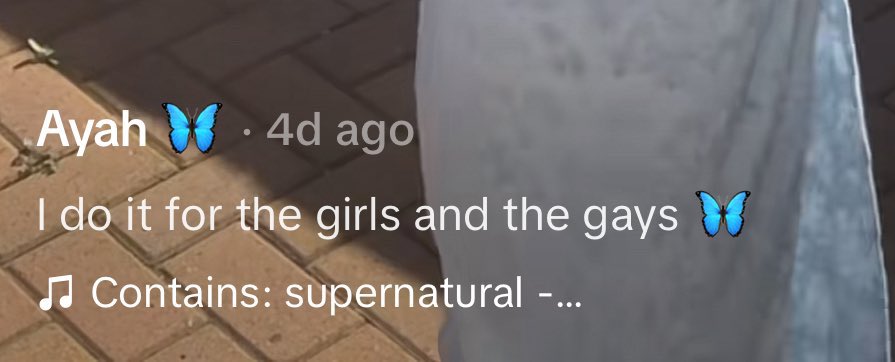 ⋆˚꩜｡ tweet media