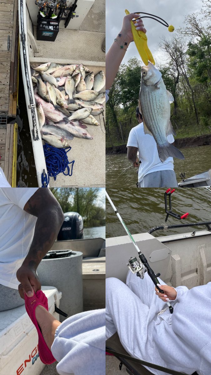 ashaley 🦋 tweet media