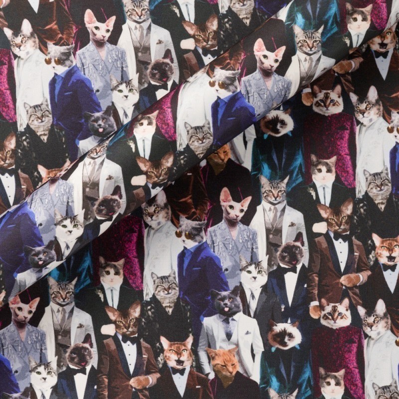 derek guy tweet media