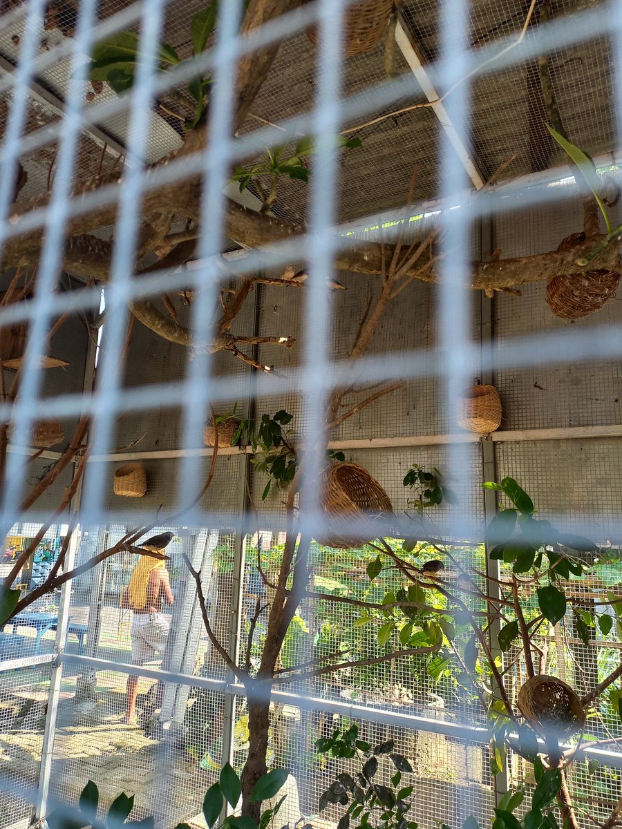 Suka buah apaaja tweet media