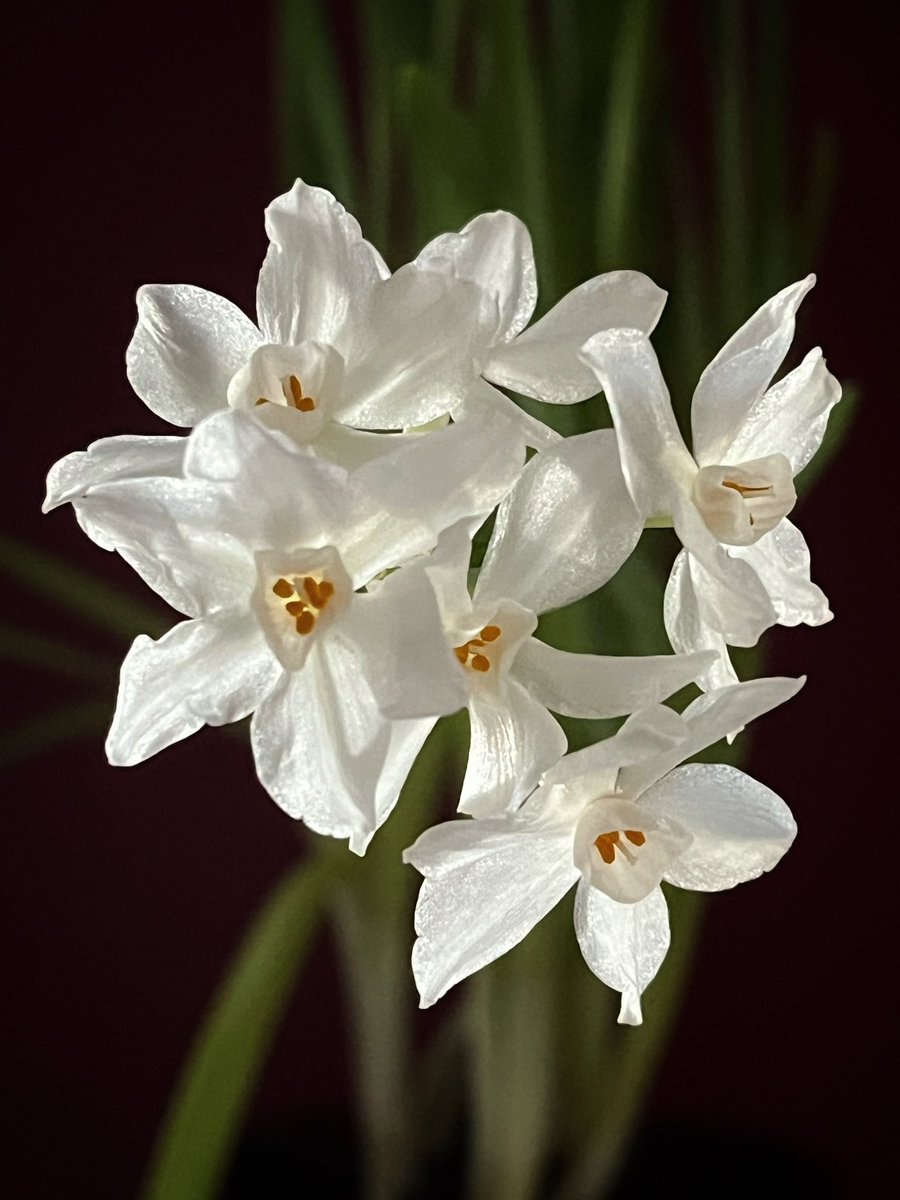 sjm8, PA-C tweet media