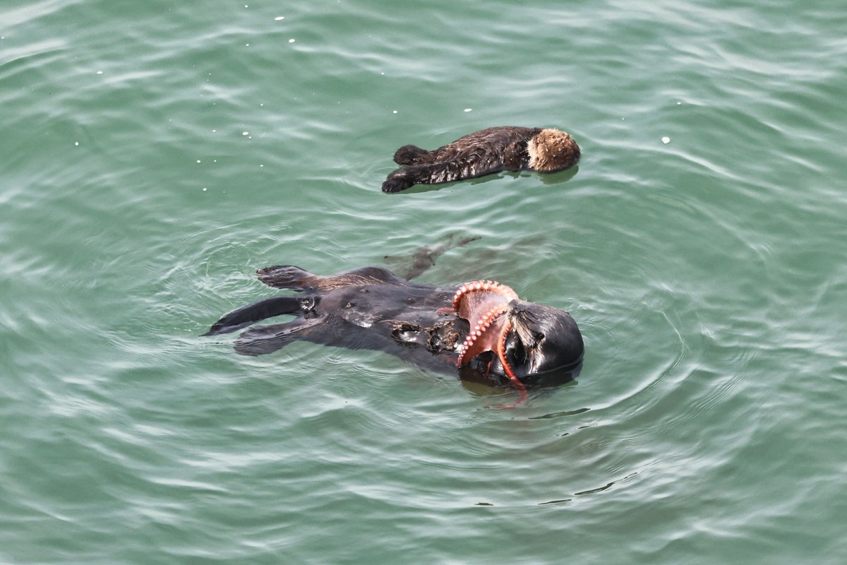 温根湯温泉の人♨️ tweet media