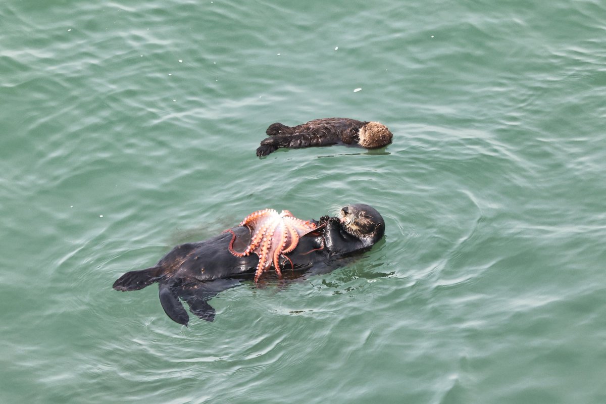 温根湯温泉の人♨️ tweet media
