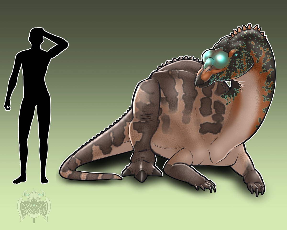 Chukapower tweet media