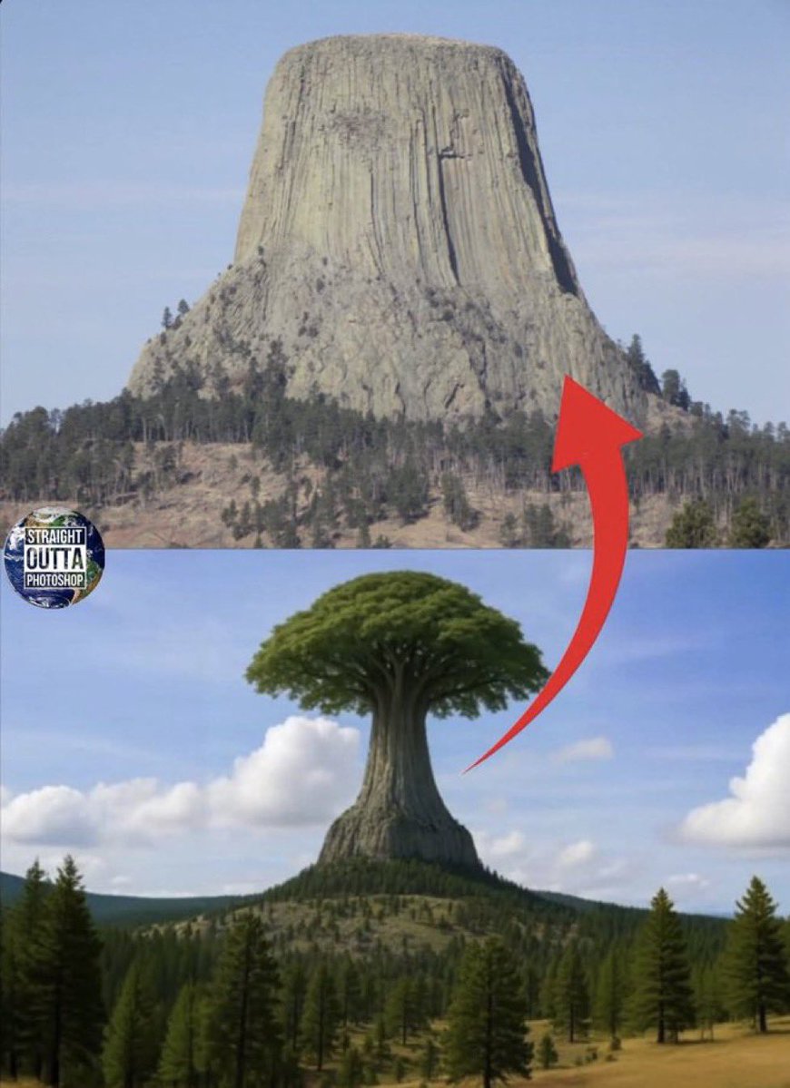 FLAT OUT TRUTH tweet media