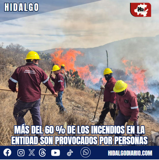 Más del 60 % de los incendios en la entidad son provocados por personas hidalgodiario.com/2026/04/12/mas…
