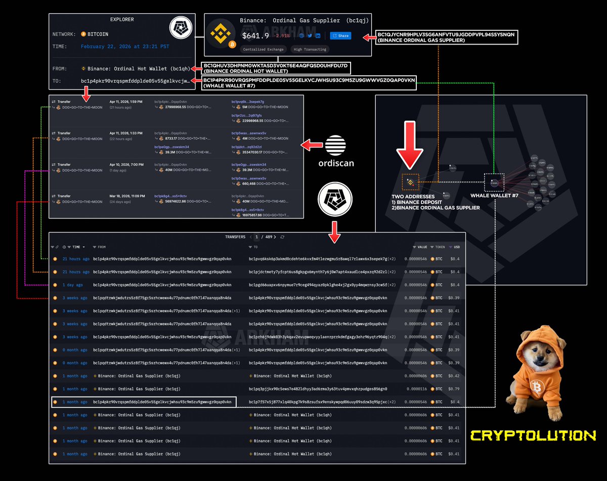Cryptolution's tweet image. 🚨 $DOG WALLET TRACKING UPDATE 🚨

Let’s start with a simple question:

If a token is distributed through a truly free &amp;amp; fair airdrop - no allocations to whales, KOLs, teams, or founders -how does anyone accumulate a large share of supply?

The answer begins with Whale Wallet #7.