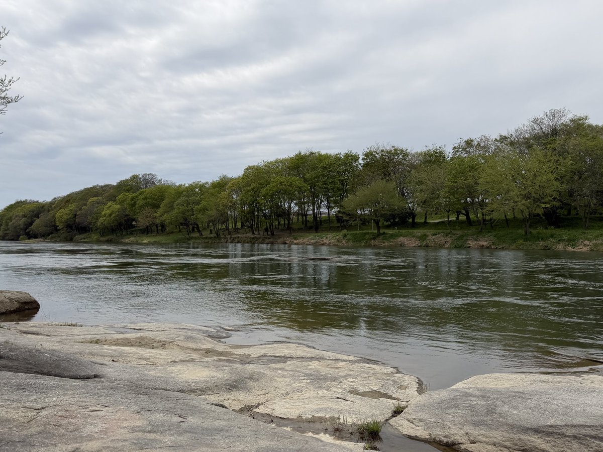 𝘤𝘦𝘭𝘭𝘦𝘳 / ボカロP tweet media