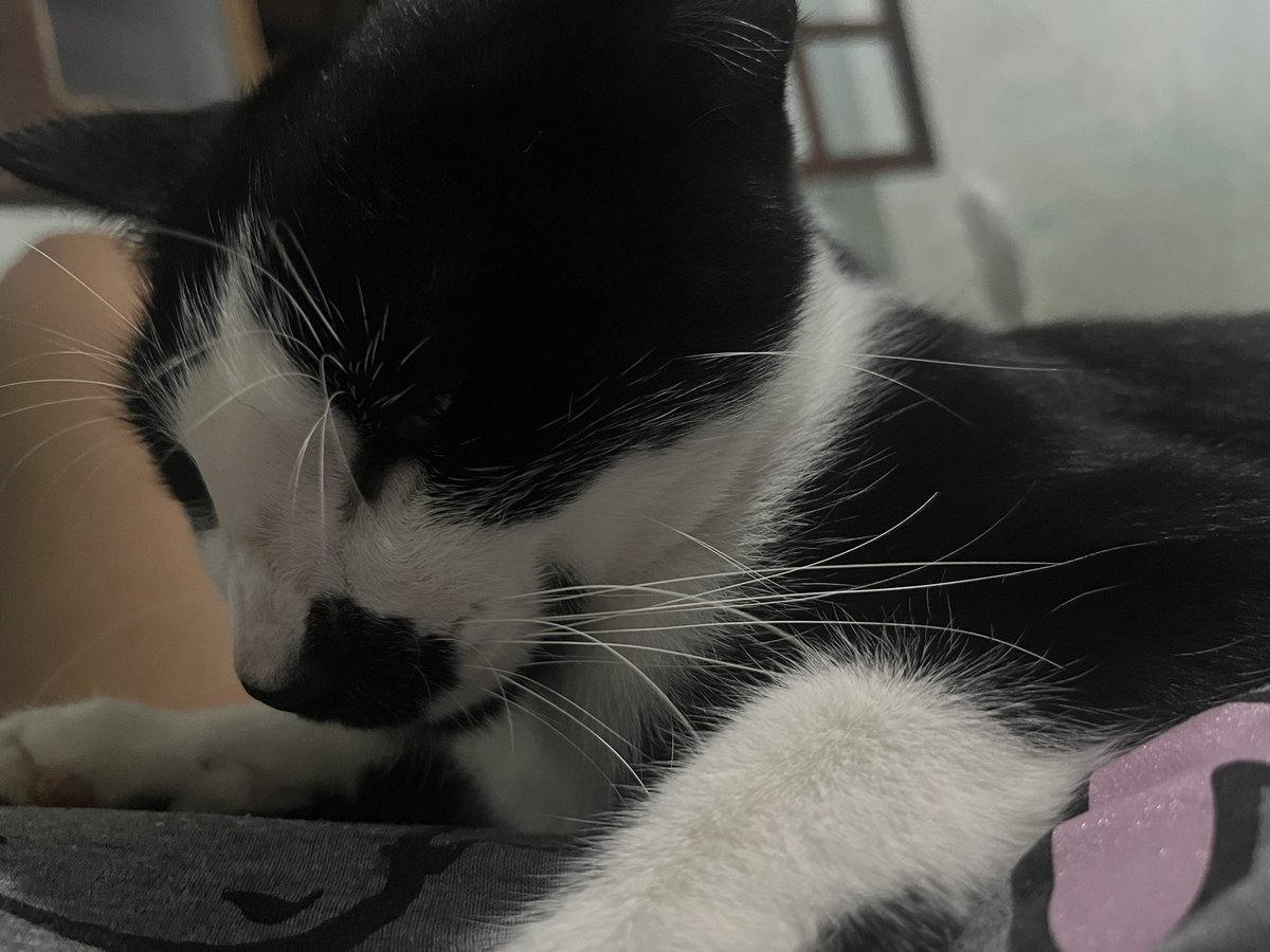 mimi ♡ mesa aberta tweet media