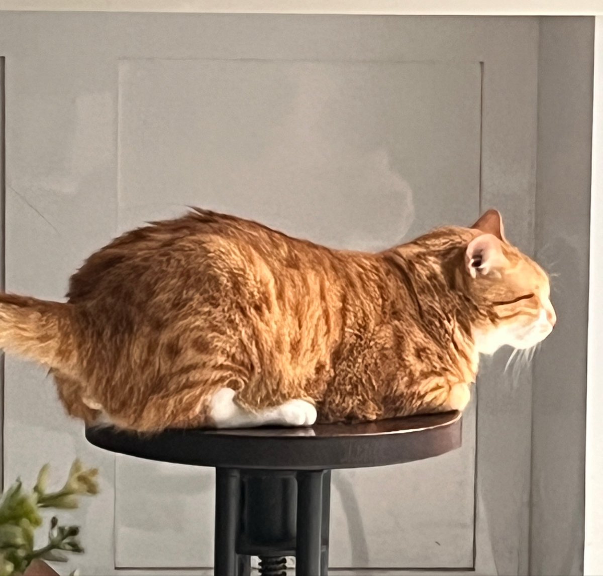 orel insyaAllah lulus utbk 2026 pil 1 aamiin tweet media