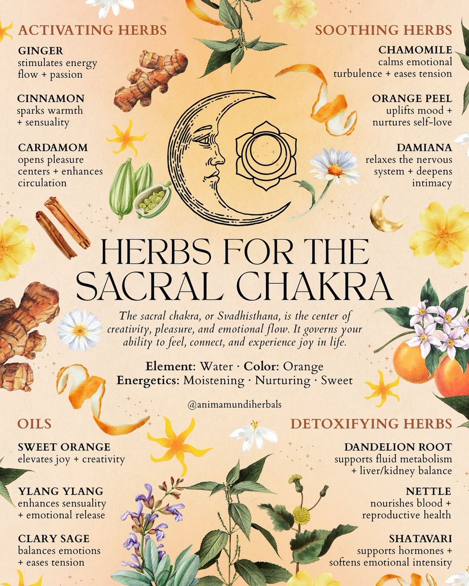 𓆩♡𓆪 GODS FAVORITE 𓆩♡𓆪 tweet media