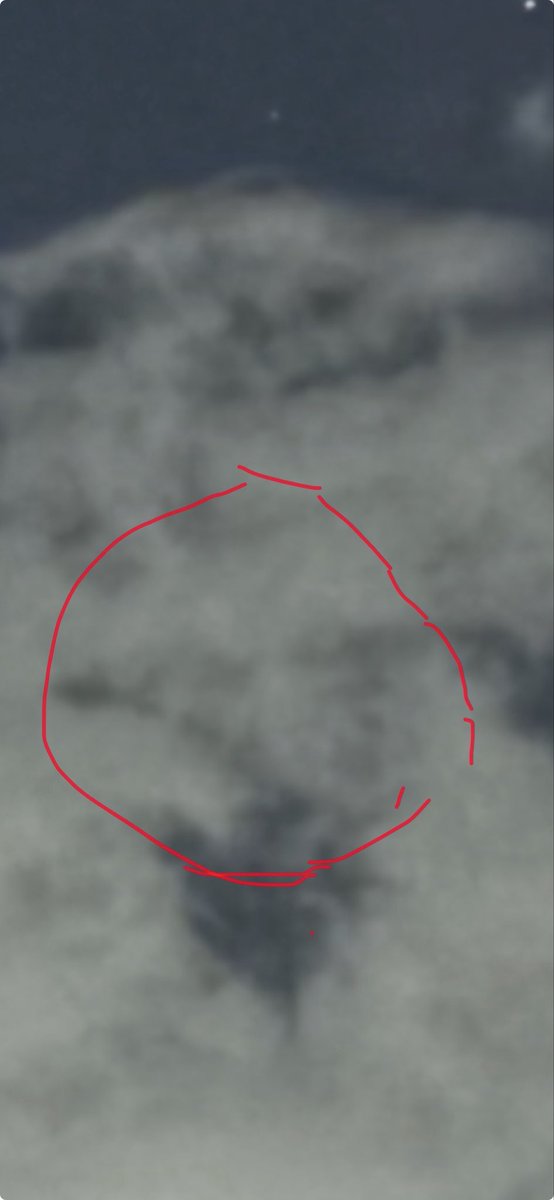 QuimFam7 tweet media