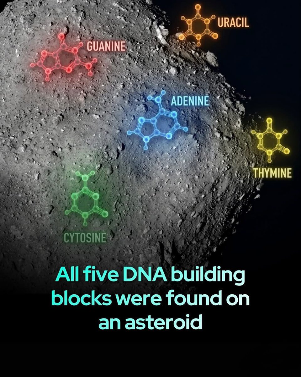 Astronomy Vibes tweet media