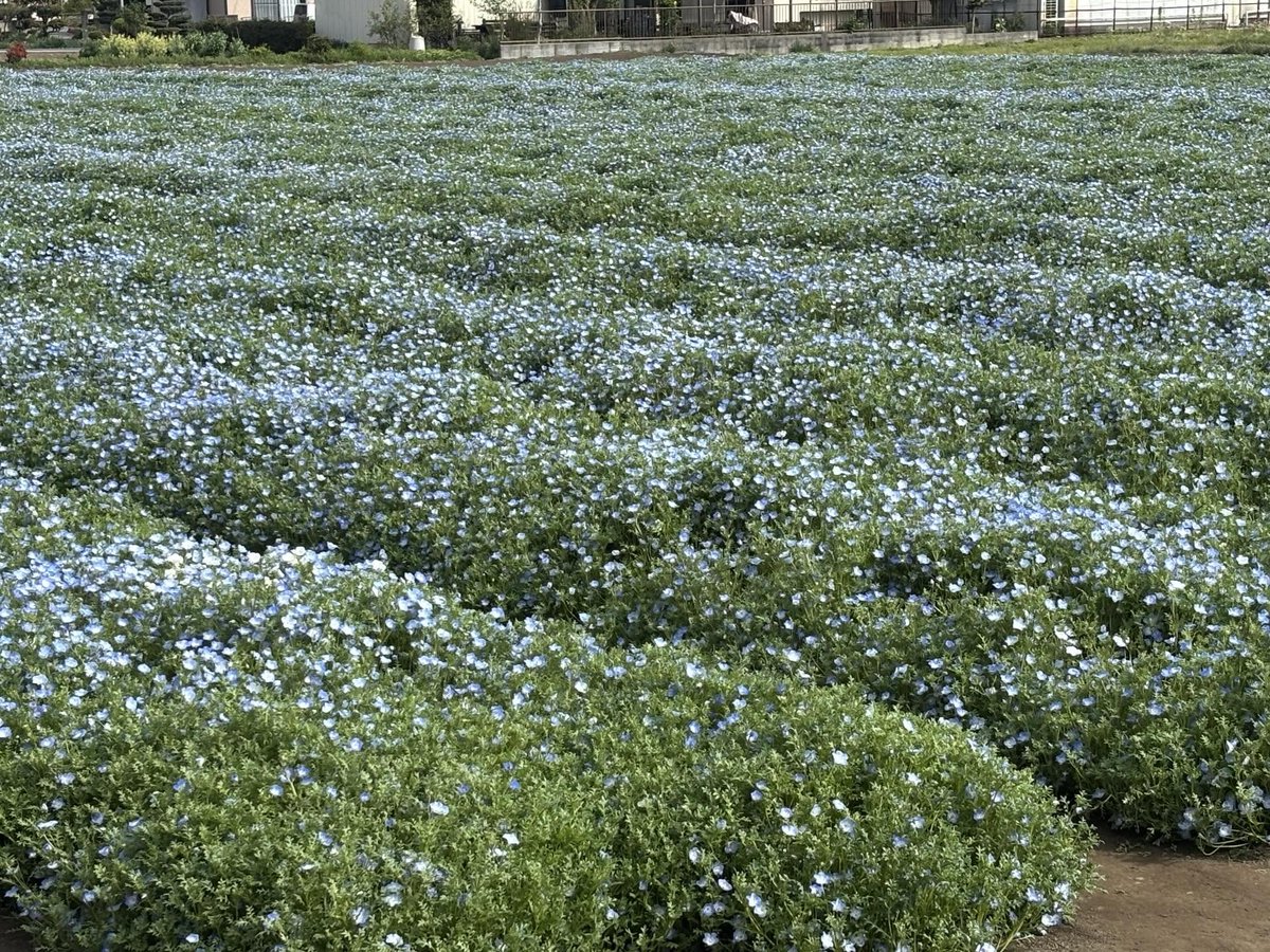 すぅ。 tweet media