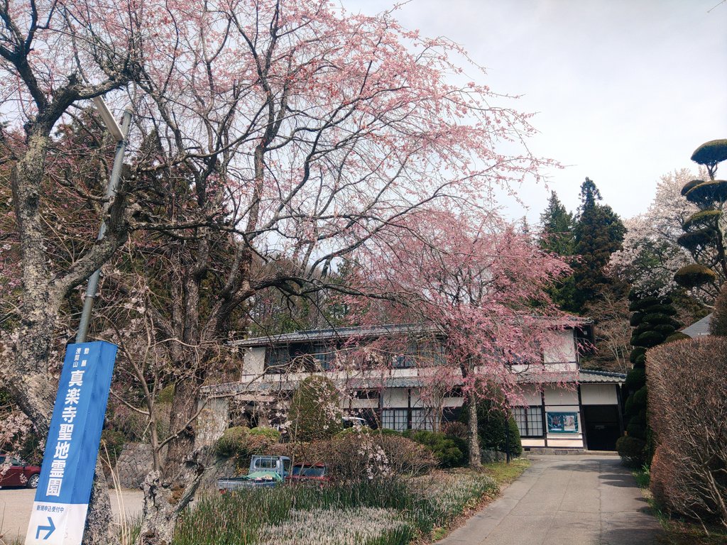 犬小屋親父 tweet media