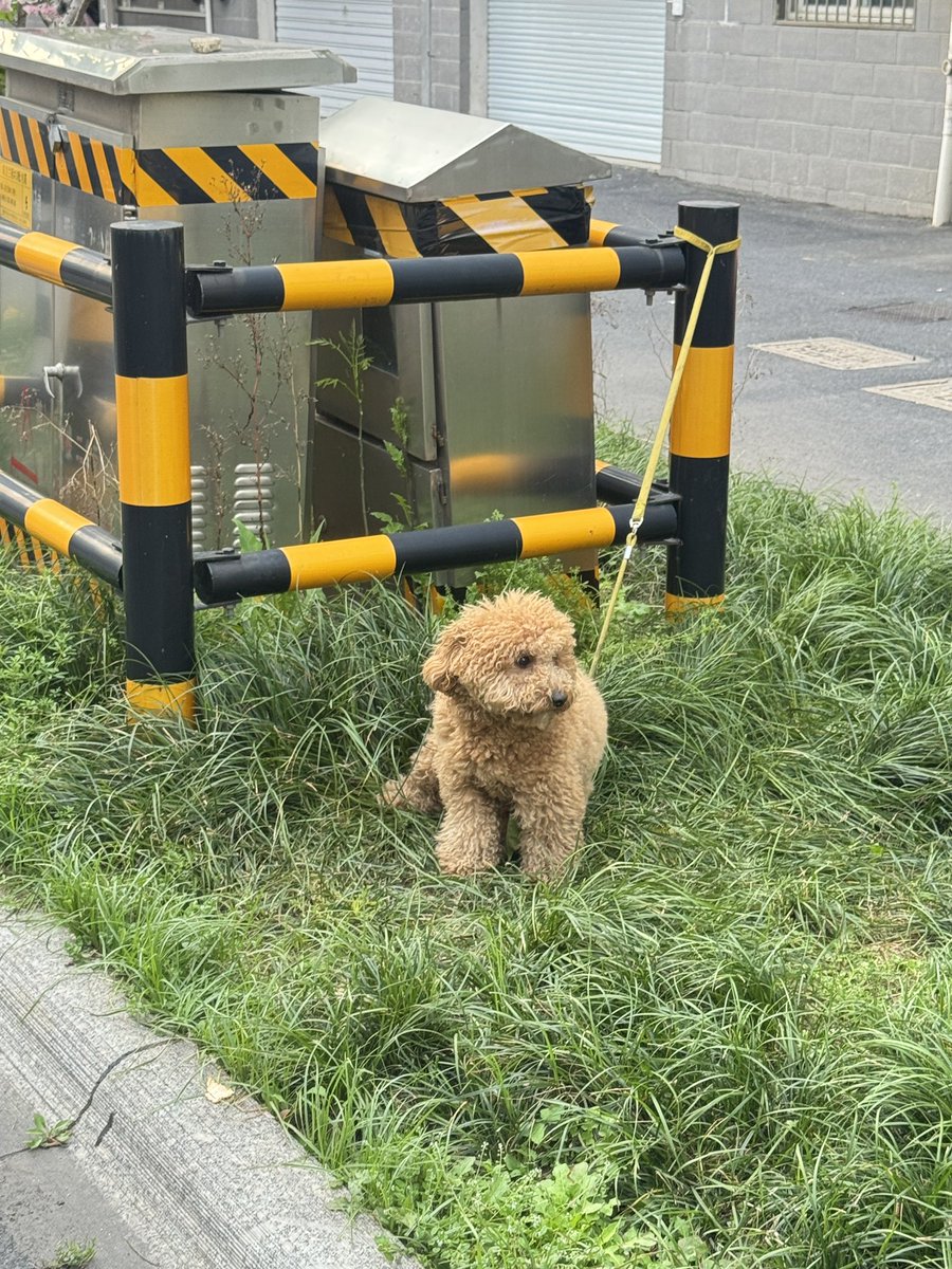 tiya（互fo） tweet media