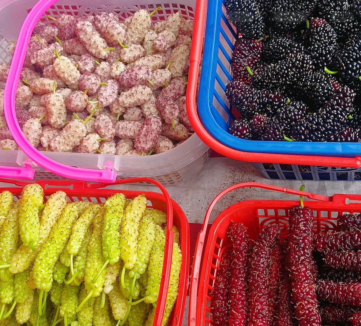 N（互fo200%） tweet media