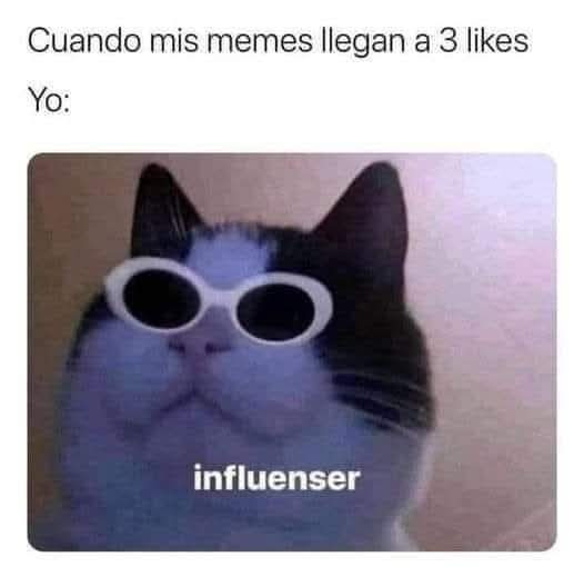 🌻TheMemeGirlSv🌻 tweet media