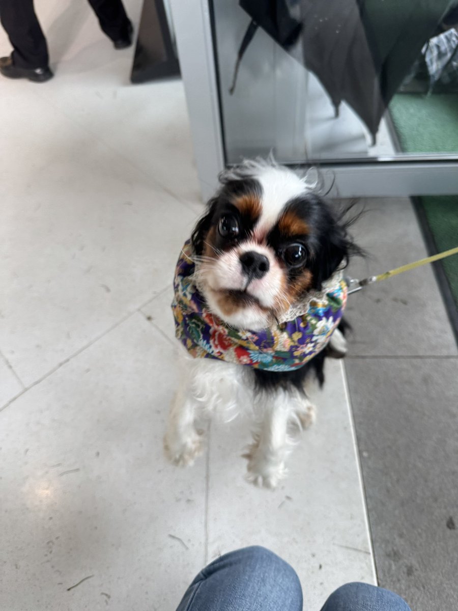 tiya（互fo） tweet media