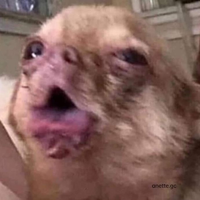 LIT Media tweet media