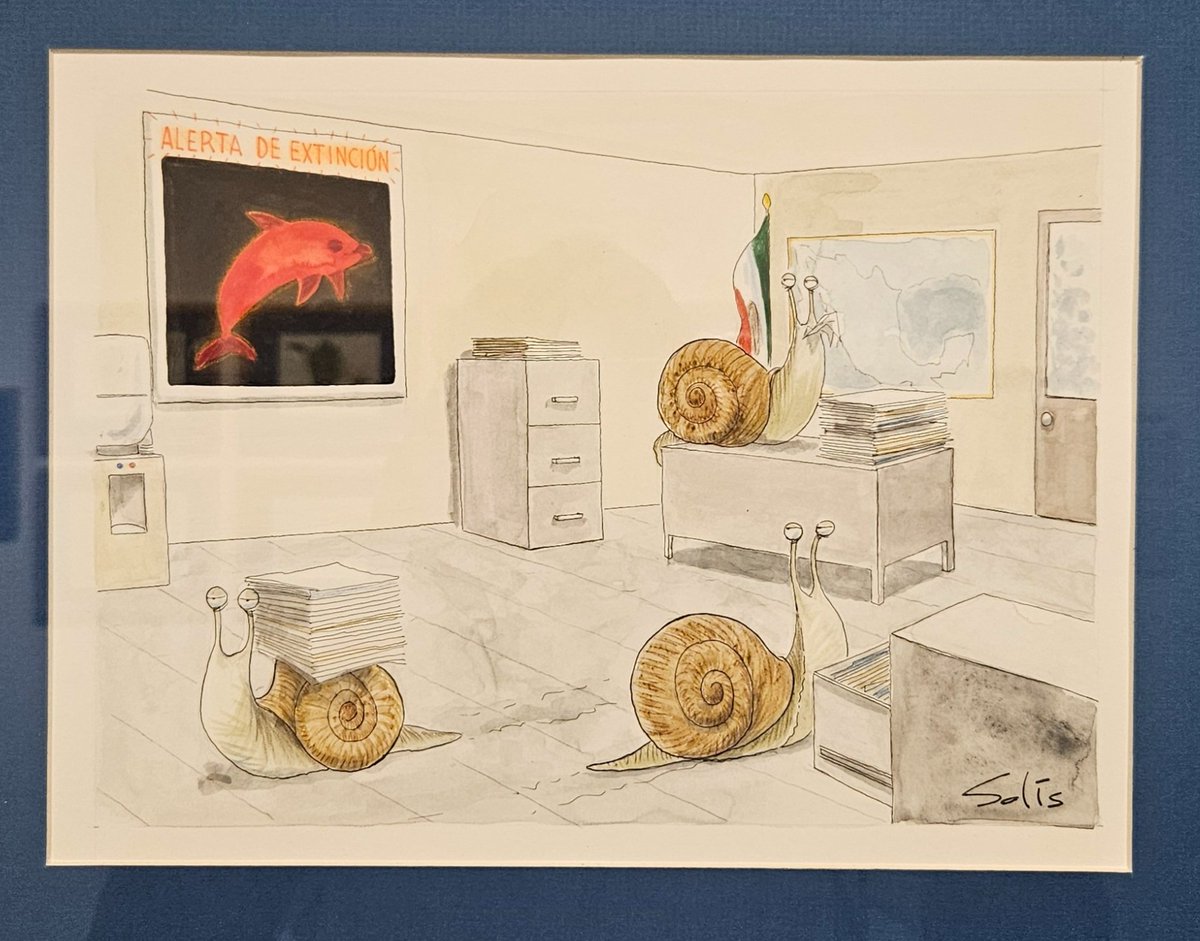 Mauricio Dussauge tweet media