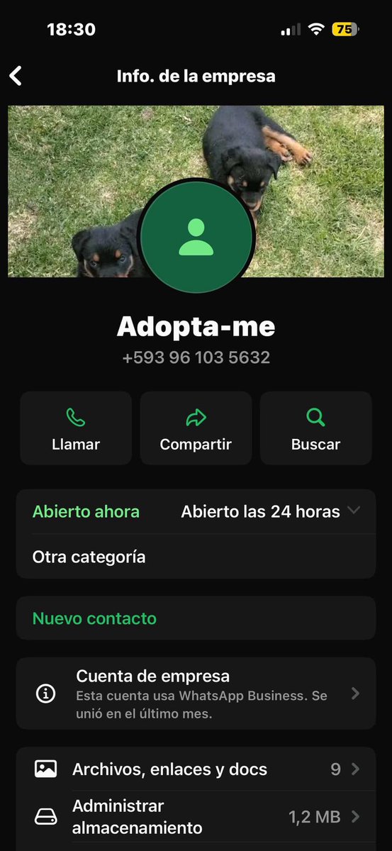 Fernanda⋆𐙚 tweet media