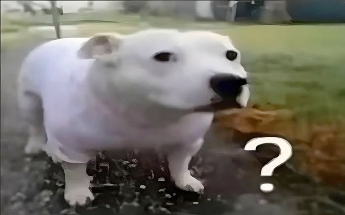 Nate era un hueon enfermo y manipulador en las temporadas anteriores, por eso resulta incoherente que ahora se deje influenciar tan fácil por Cassie, quien para él siempre ha funcionado más como un objeto de consumo y validación social que como persona individual.