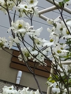 トシ　冬場の脳梗塞ご用心 tweet media