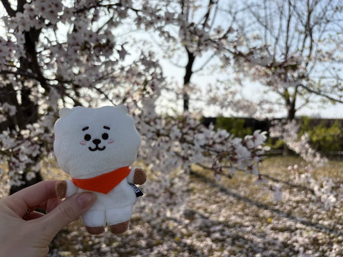 asaminnie1218's tweet photo. https://t.co/6DhwS4UkPX
