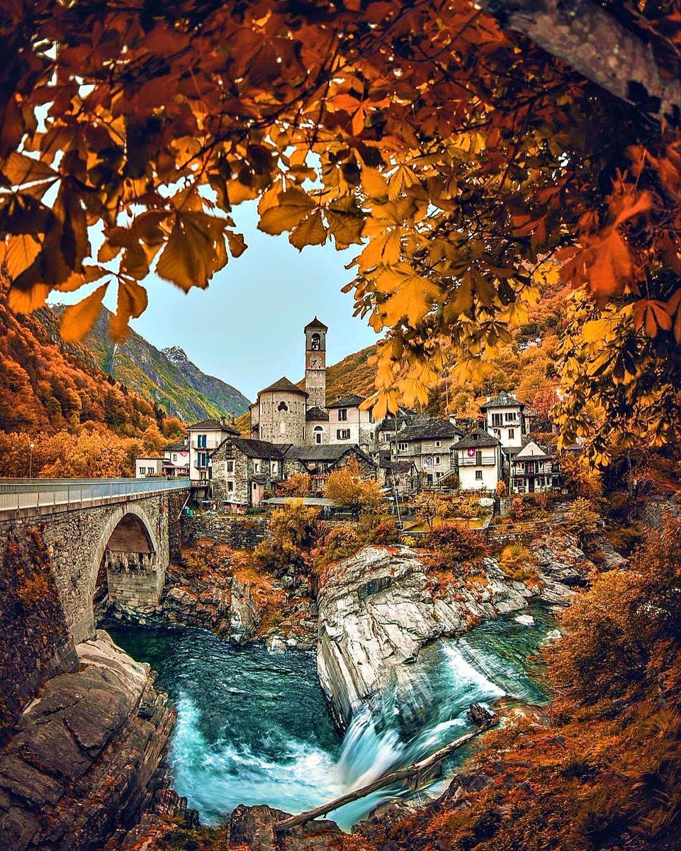 𝓑𝓮𝓪𝓾𝓽𝔂 tweet media